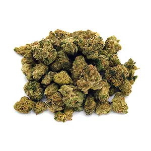 Coal Creek Kush | Mini-Buds |