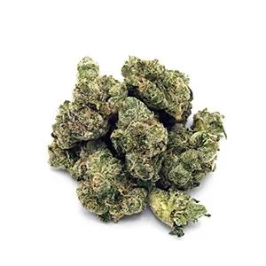 Raspberry Syrup | Mini-Buds |