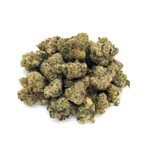 Archetype | Mini-Buds |