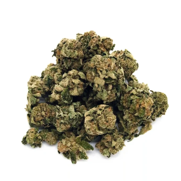 Rainbow | Mini-Buds