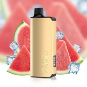 ALIBARBAR INGOT 9000 PUFF – WATERMELON ICE