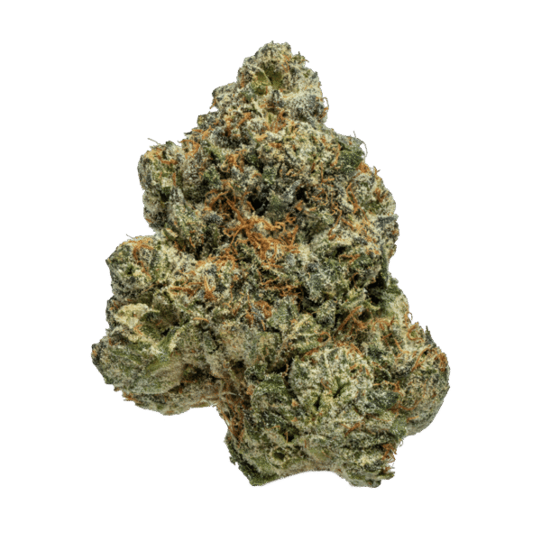 Blue Cookies 🍪