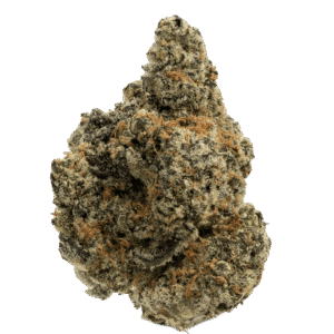 Gas Can ⛽