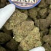 IMG_20250101_003558_471.jpg Jawbreakerz