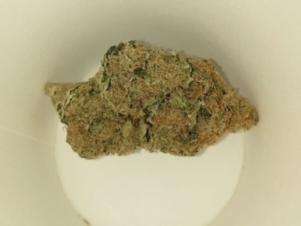 Ice-Cream-canabis-strain.jpg Ice Cream Strain