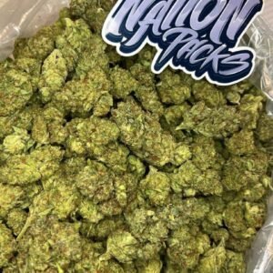 N.O.Y.B. | 1/8 oz.
