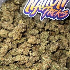 Grape Soda 🥤⛽️