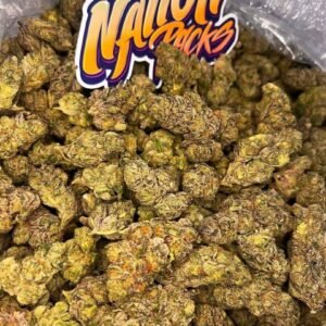 Gas Can ⛽