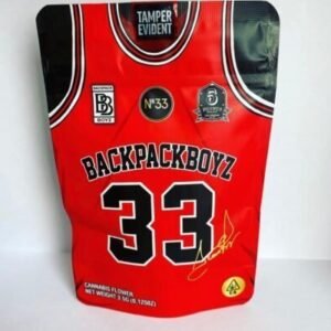 NUMBER-33-BACKPACKBOYZ-408x400-1.jpeg Number 33 aka Scottie Pippen