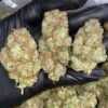 Gelatti Cookies Strain