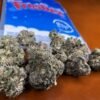 frosties-neros-cutt-strain-477x400-1.jpg Buy Frostiez Joke’s Up | 40g