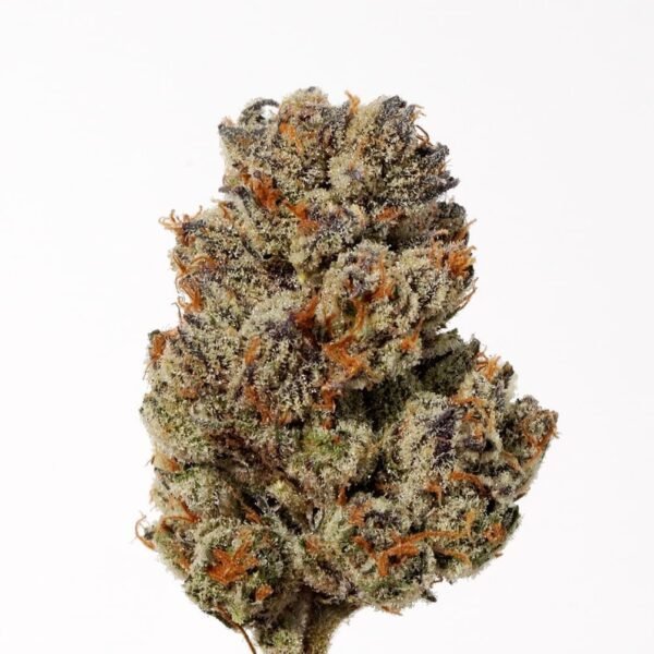 ice-cream-weed.jpg Ice Cream Strain