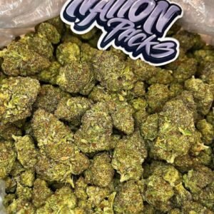 Taunton Cookie | 1/8 oz.